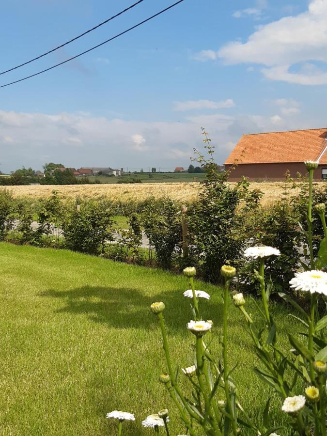 Vakantiehuis Zoetendaal Reningelst المظهر الخارجي الصورة