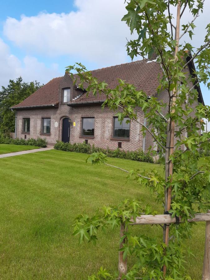 Vakantiehuis Zoetendaal Reningelst المظهر الخارجي الصورة