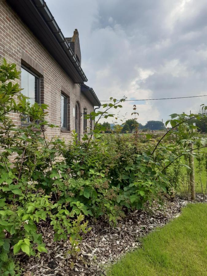 Vakantiehuis Zoetendaal Reningelst المظهر الخارجي الصورة